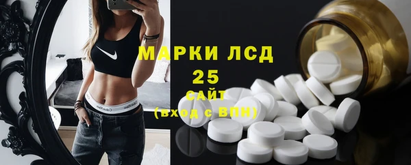хмурый Белокуриха