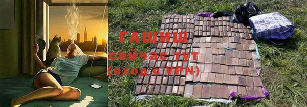 хмурый Белокуриха