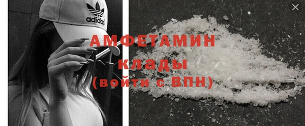хмурый Белокуриха