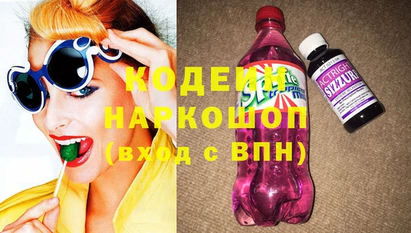 хмурый Белокуриха